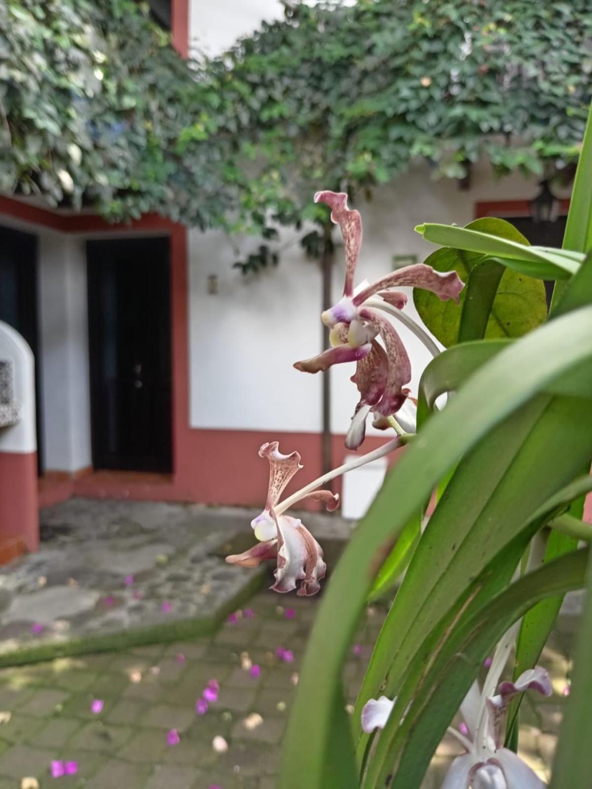 Hotel Boutique Casabella Coatepec (Veracruz) Exterior foto