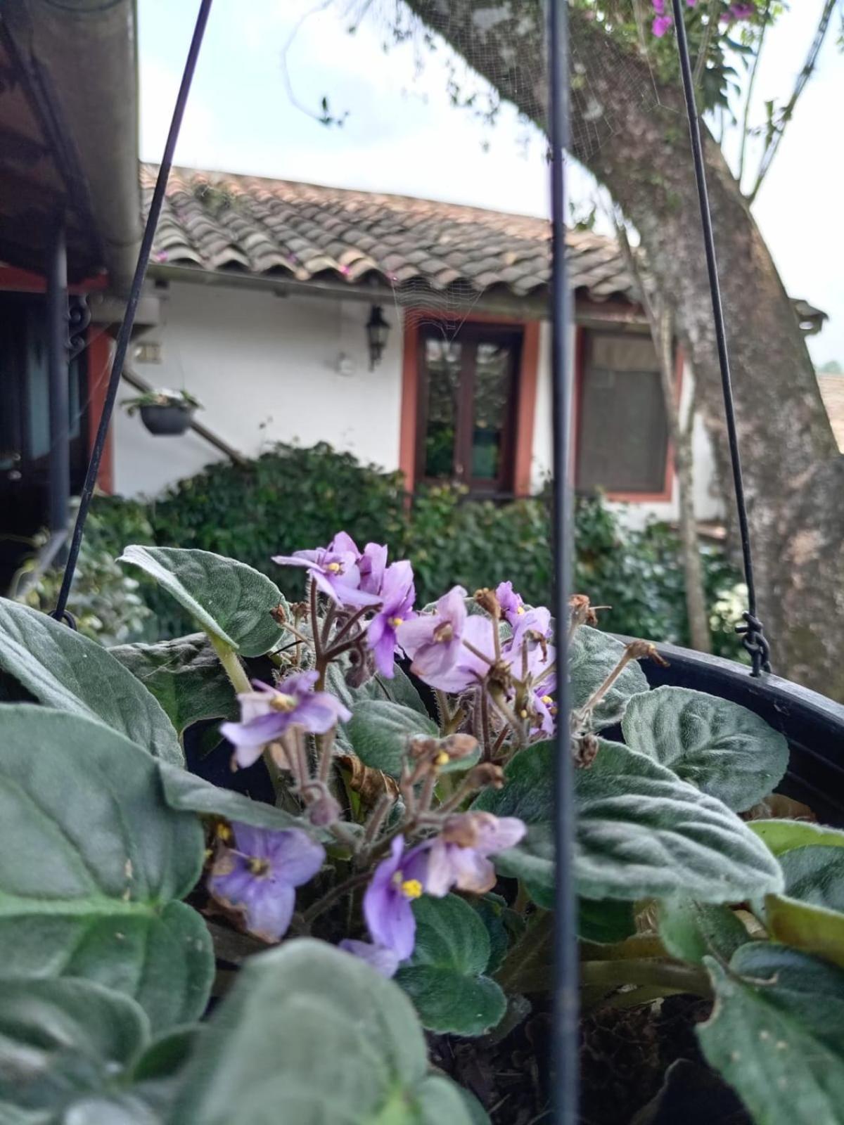 Hotel Boutique Casabella Coatepec (Veracruz) Exterior foto