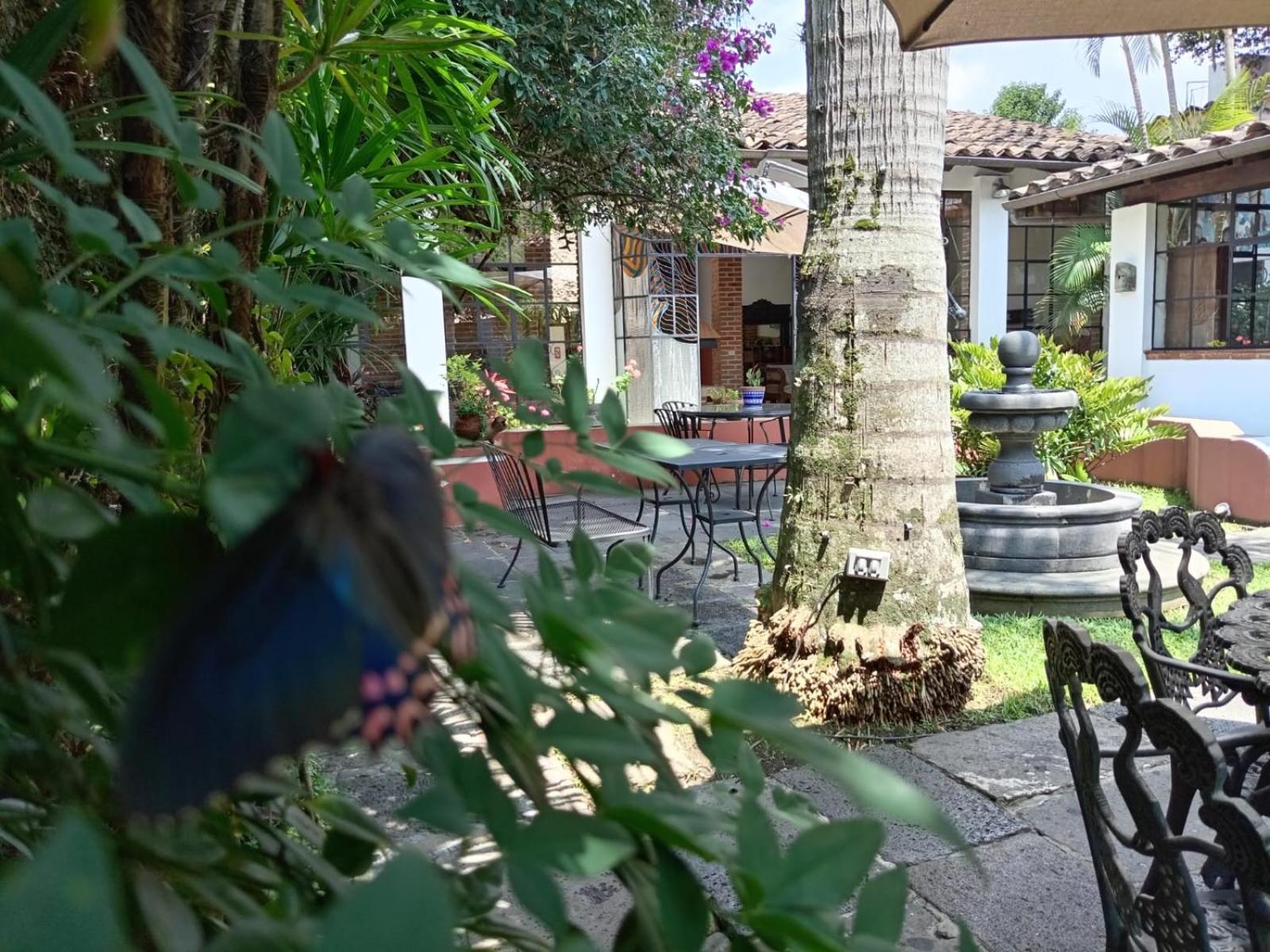 Hotel Boutique Casabella Coatepec (Veracruz) Exterior foto